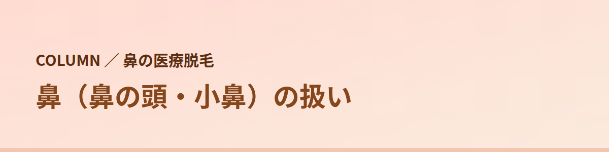 鼻(鼻の頭・小鼻)の扱い|8院の公式の書き方