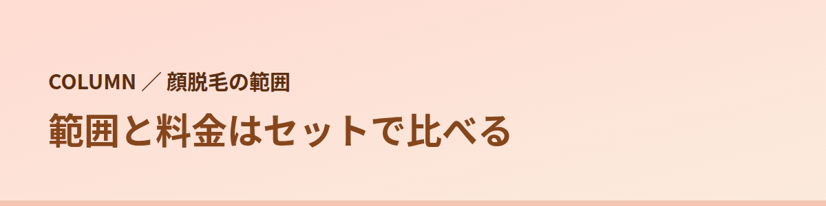範囲と料金はセットで比べる