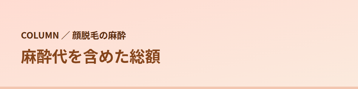 麻酔代を含めて総額を比べる