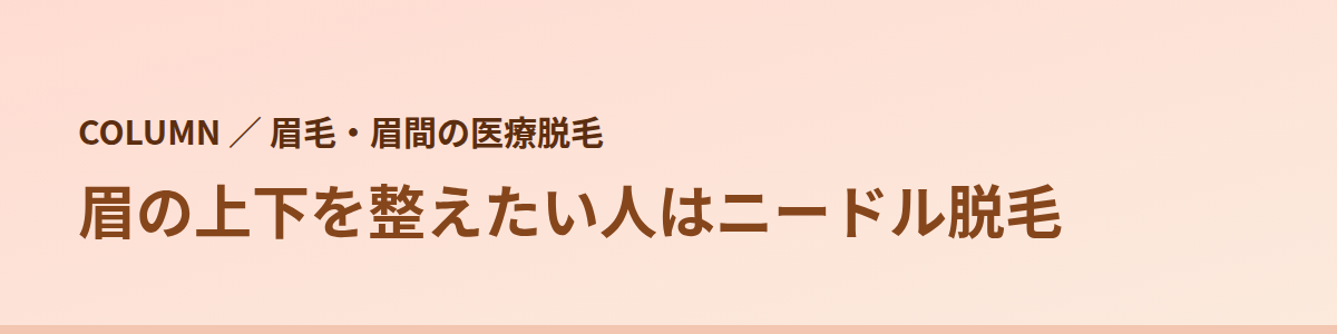 眉の上下を整えたい人はニードル脱毛