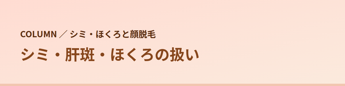 シミ・肝斑・ほくろの扱い｜8院の公式の書き方
